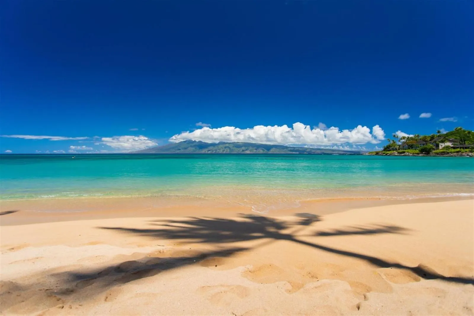 2621 Ridge Villa Kahana United States